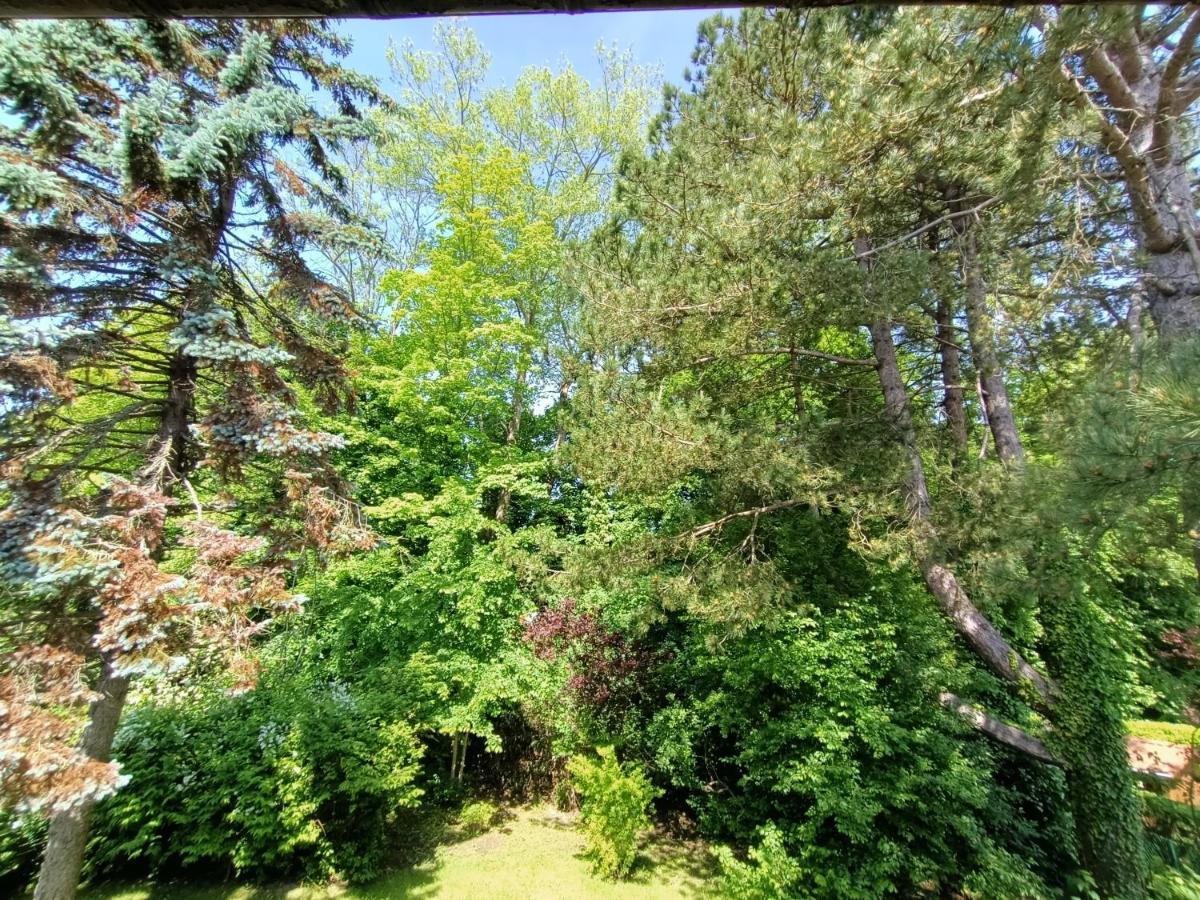 Villa 100 M Du Touquet Entre Foret Et Mer Cucq Εξωτερικό φωτογραφία